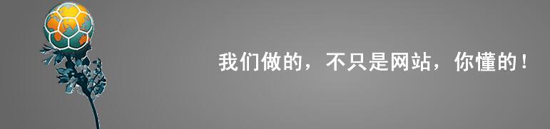 我們做的不只是網(wǎng)站，你懂得